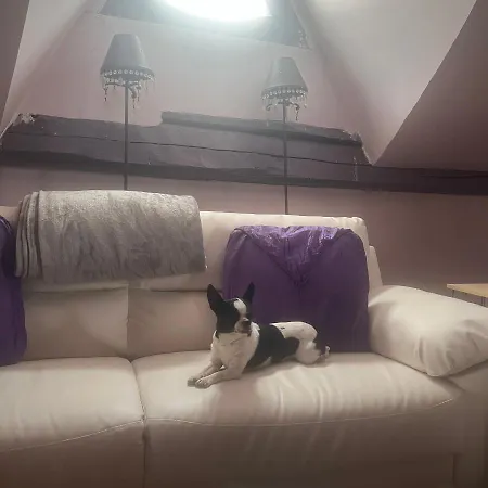 בית נופש Pariseo-con Jacuzzi, Chimenea, Bbq, Bar Y Mucho Mas *