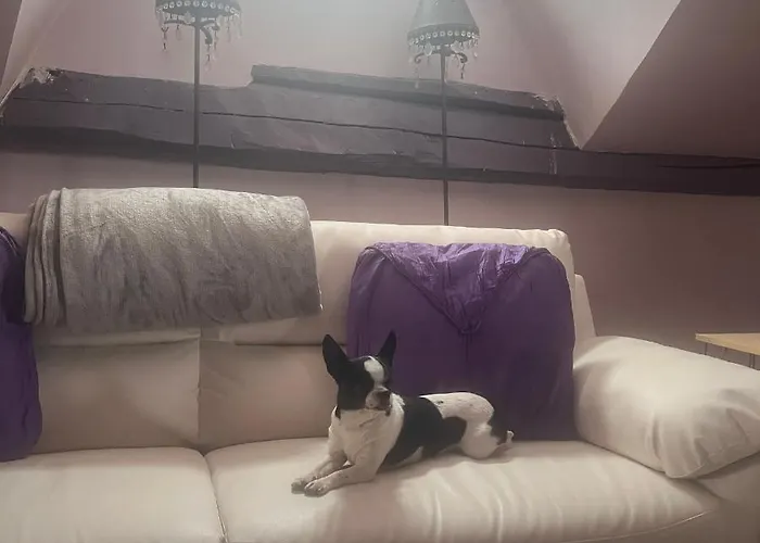 Vakantiehuis Casa Pariseo Con Jacuzzi, Chimenea, Bbq, Bar Y Mucho Mas *